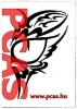 PCAS képe